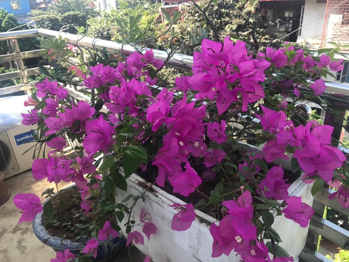 Tuan Minh Guest House Diện Biên Phủ Εξωτερικό φωτογραφία